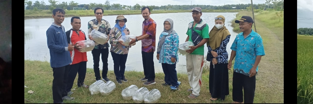 Dinas Peternakan dan Perikanan Bersama Pemdes Samberan Tebar 10.000 Benih Tawes Di Embung Sri Rahayu